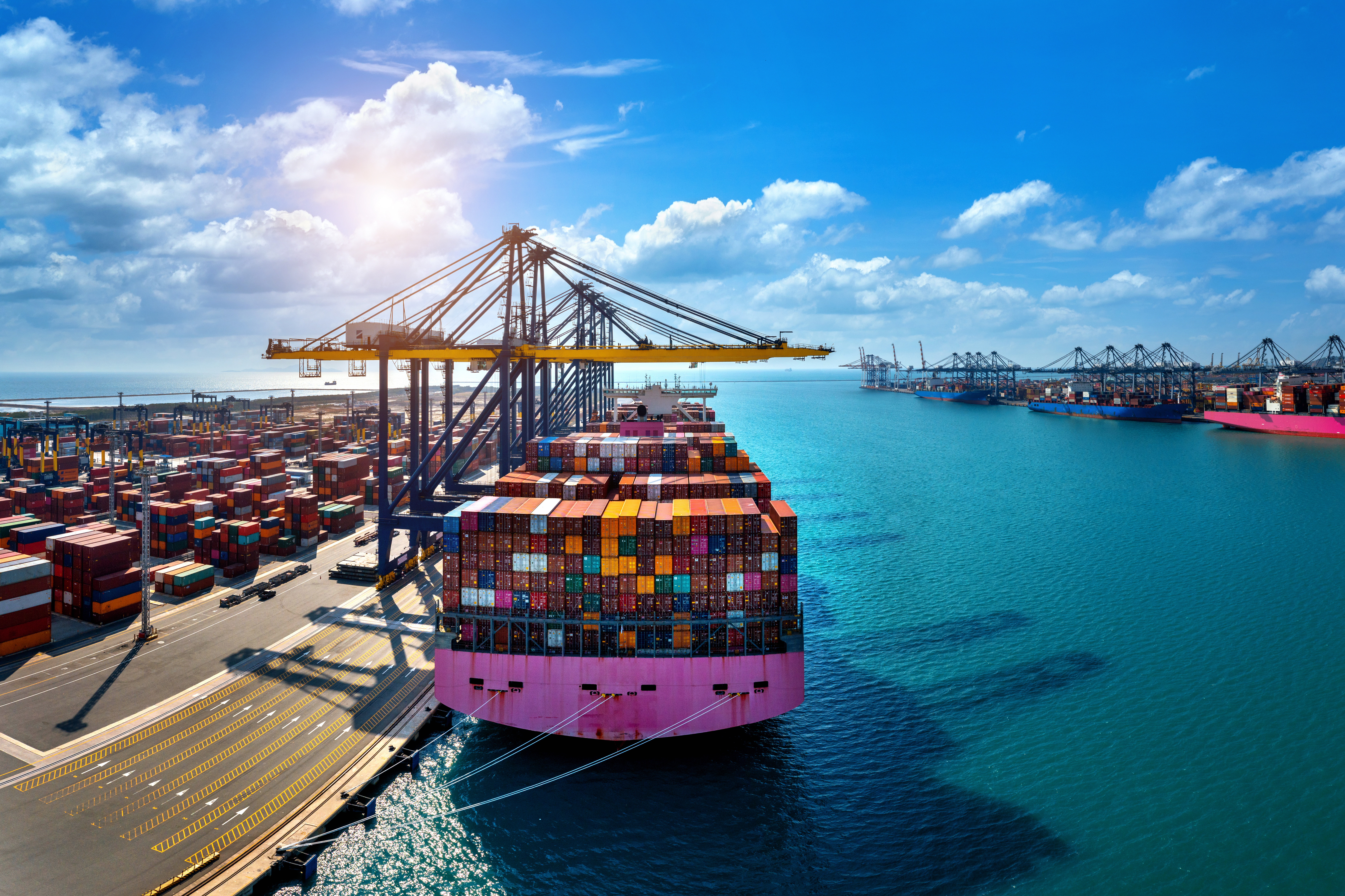 Supply Chain & Logistics