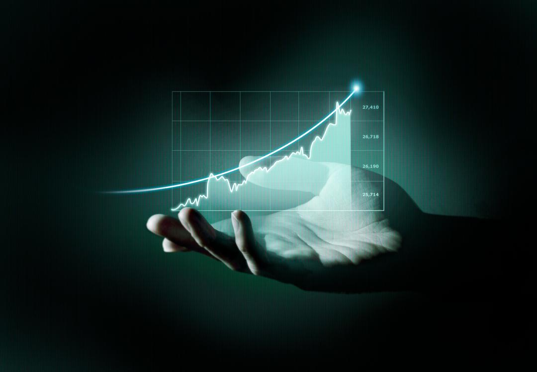 Investment & Wealth Management
